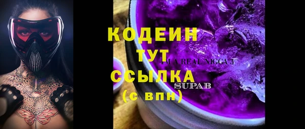 СК Верхний Тагил