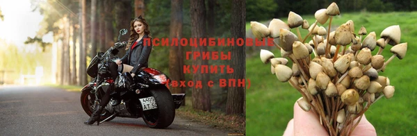 синтетический гашиш Богородск