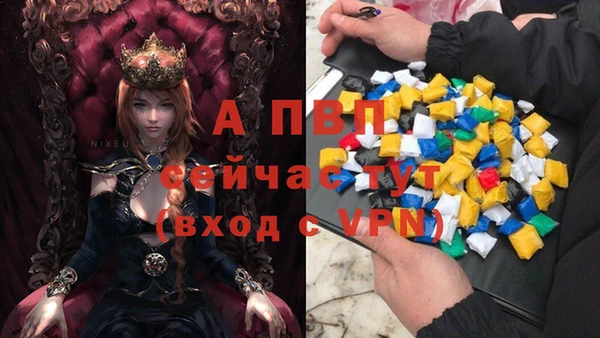 спиды Белоозёрский