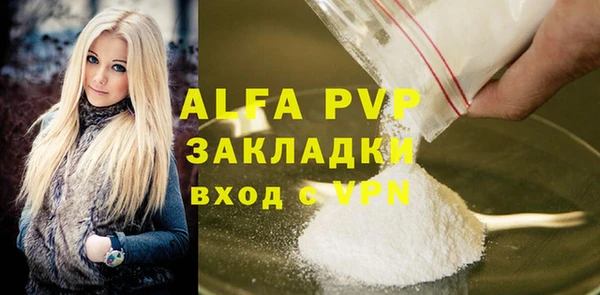 ECSTASY Богородицк