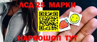 Альфа ПВП Новодвинск