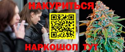 прущие крисы Новокубанск