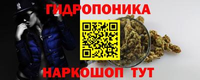 каннабис Новозыбков