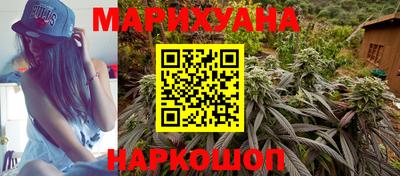 Альфа ПВП Новодвинск