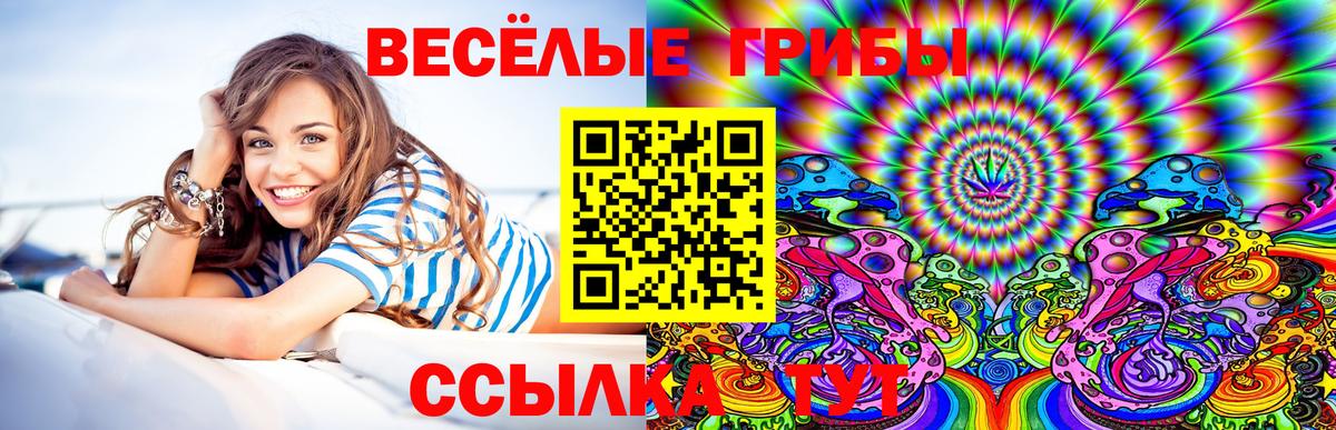 Псилоцибиновые грибы GOLDEN TEACHER Славгород