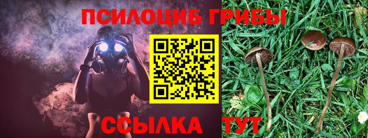 A PVP Славгород